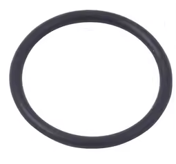 02 C0770010010 O-RING D10X1